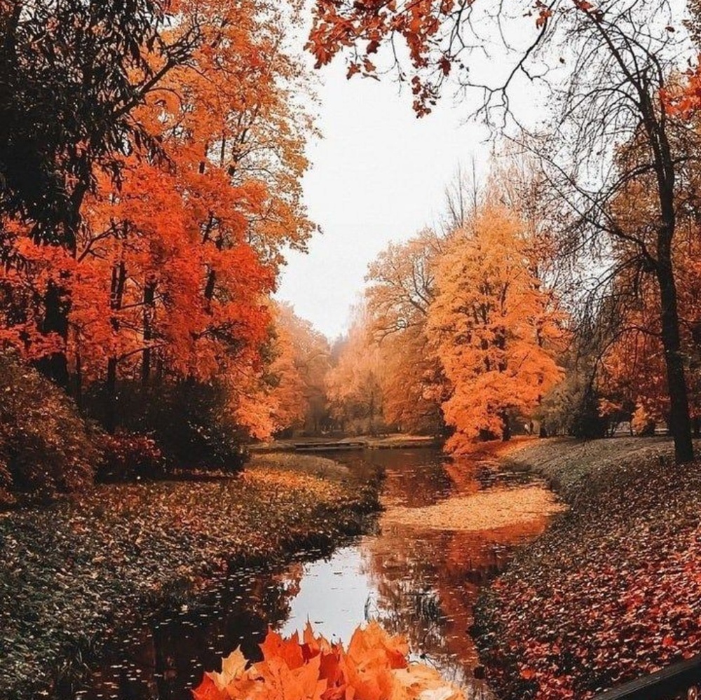 Meet your Posher, Katelynn